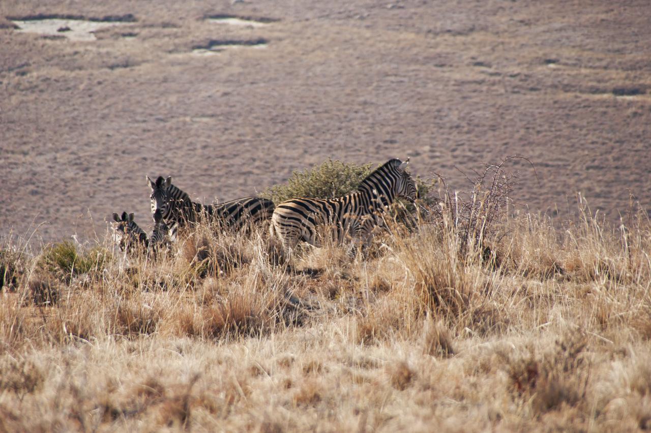 De Ark Mountain Lodge Clarens Exterior photo